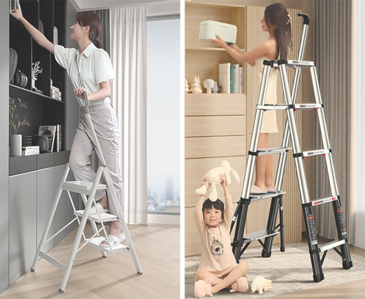 Household Ladder Series